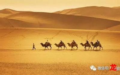 沙漠骆驼mv-沙漠骆驼mv【免费漫画】小说全文阅读 沙漠骆驼mv-沙漠骆驼mv【免费漫画】小说全文阅读