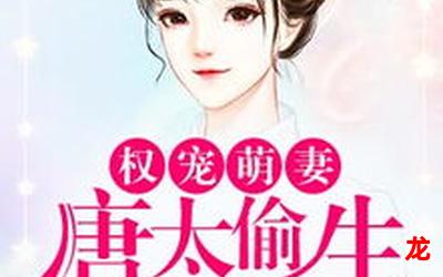 娇妻太凶猛-娇妻太凶猛网盘资源完整版 全文阅读