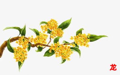 八月桂花完结版&【韩国漫画】 全文免费观看 八月桂花完结版&【韩国漫画】 全文免费观看