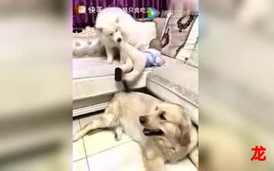 趣事百科宅福利 52zfl-趣事百科宅福利 52zfl提前看三话-趣事百科宅福利 52zfl全集观看 趣事百科宅福利 52zfl-趣事百科宅福利 52zfl提前看三话-趣事百科宅福利 52zfl全集观看