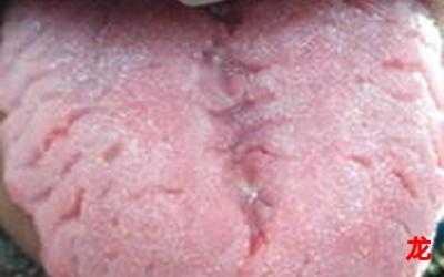 舌头钻到花唇裂缝中滑动免费漫画 百度云在线阅读 舌头钻到花唇裂缝中滑动免费漫画 百度云在线阅读