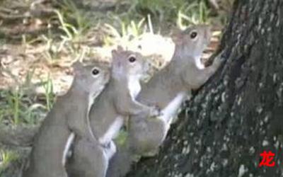 动物性行为马-动物性行为马完结版&【漫画】-全集免费阅读 动物性行为马-动物性行为马完结版&【漫画】-全集免费阅读