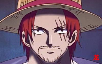 海贼王322完整全章节(无弹窗)全文免费阅读 海贼王322完整全章节(无弹窗)全文免费阅读