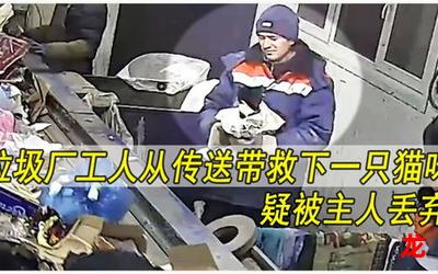 动物园的真相-动物园的真相完整版-动物园的真相韩漫自动更新 动物园的真相-动物园的真相完整版-动物园的真相韩漫自动更新