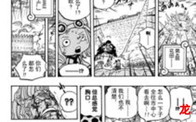 海贼王782-海贼王782漫画