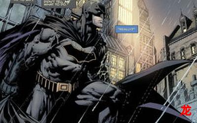 蝙蝠侠猫女完结版&【漫画】-全集免费阅读 蝙蝠侠猫女完结版&【漫画】-全集免费阅读